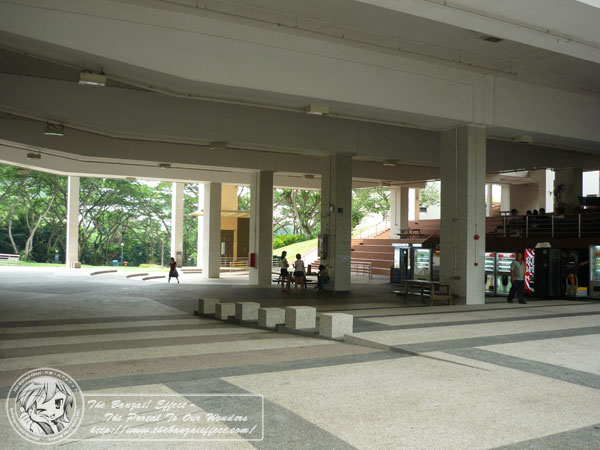 p1050726