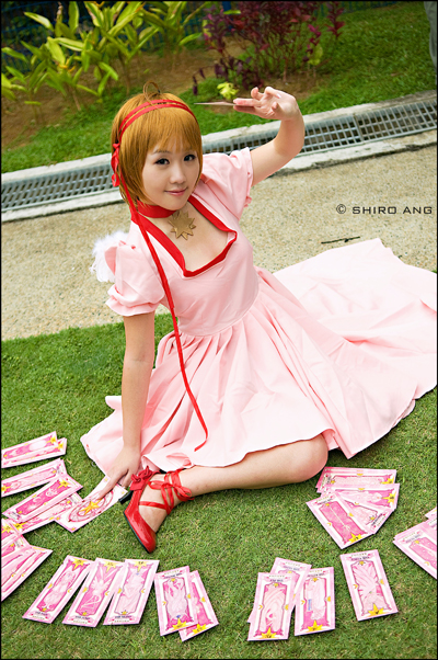 ccs-03
